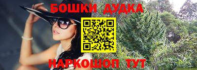 стаф Тула