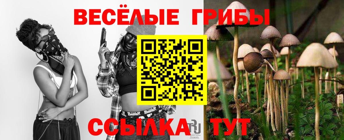 Нижний Новгород  Галлюциногенные грибы Psilocybe  Псилоцибиновые грибы Magic Shrooms  купить наркотик  Вход с VPN 
