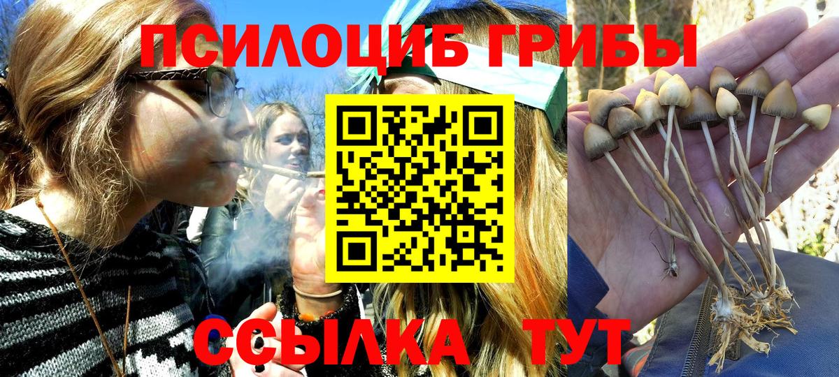 Галлюциногенные грибы Magic Shrooms Нижний Новгород